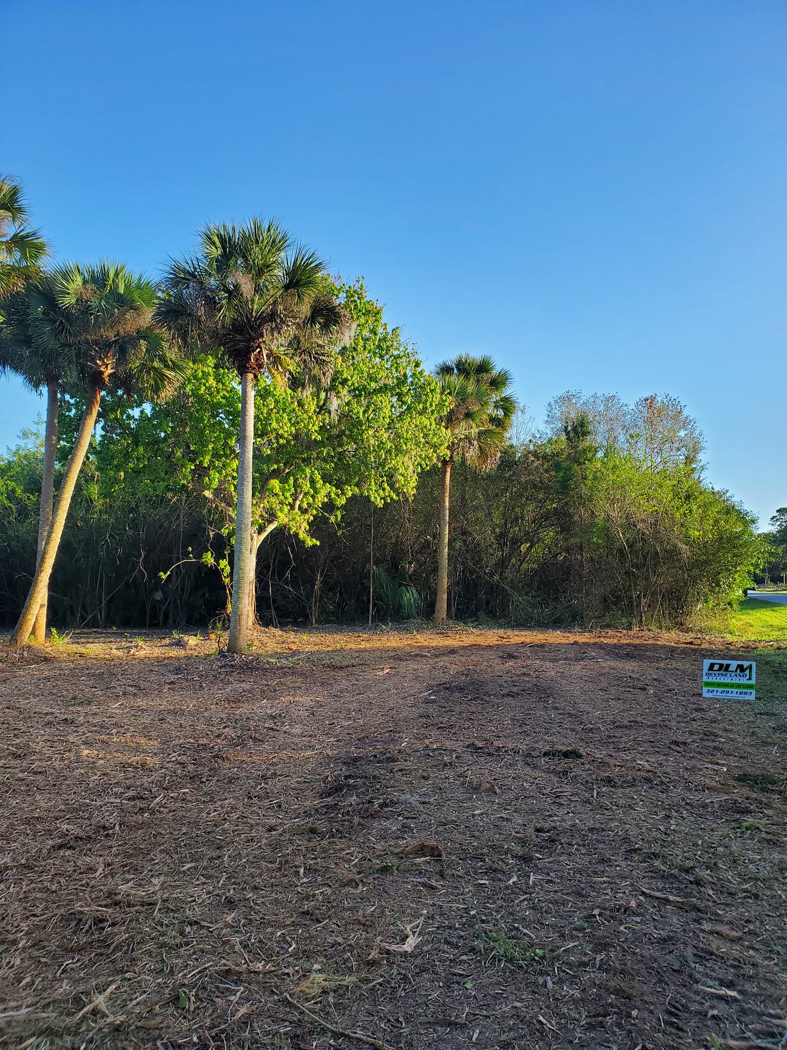 Mulching Lots for new homes Mims Florida Devine Land Mangement