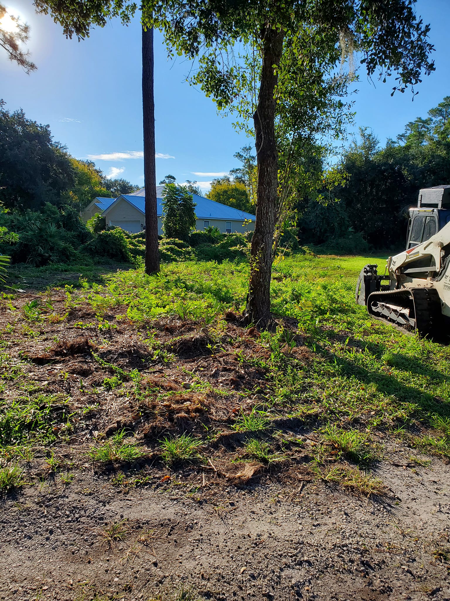 Root raking and grading Devine Land Mangement