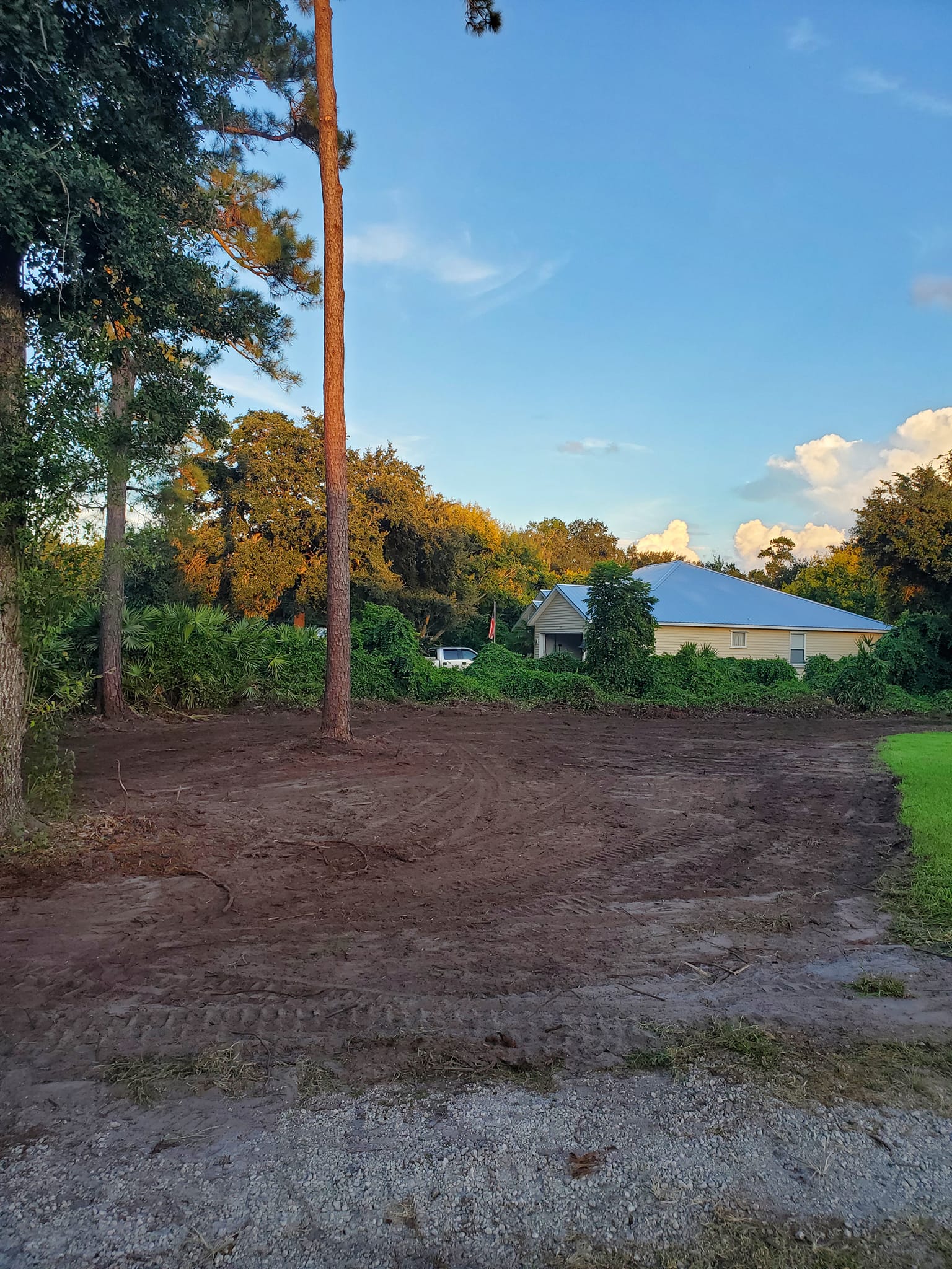 Root raking and grading Devine Land Mangement