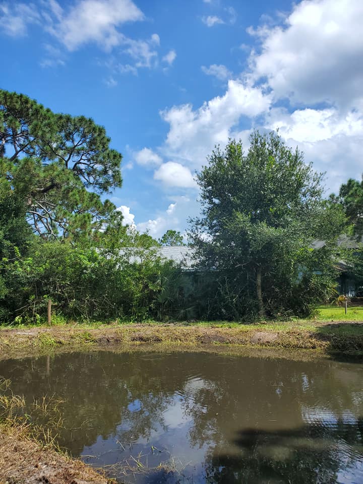 Pond Renovations Devine Land Mangement