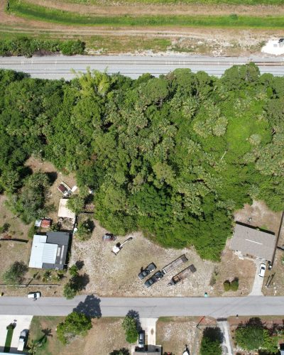 1. Palm Bay Pepper trees 1