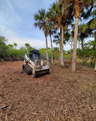 Picture of a skid steer on mulched land - Land clearing with skid steer mulcher by Devine Land Management in Mims Florida