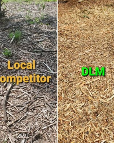 21. DLM vs local competitor