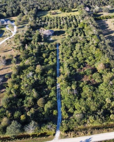 26. 7 acre clearing in Mims 1